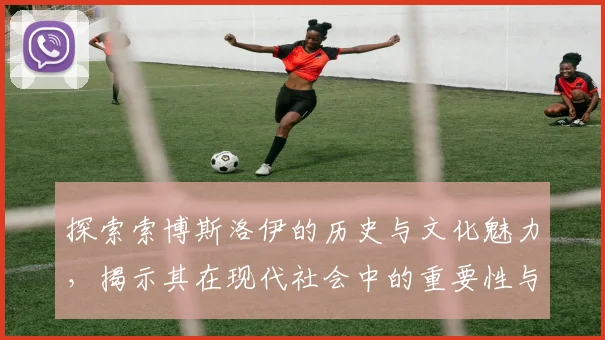 探索索博斯洛伊的历史与文化魅力，揭示其在现代社会中的重要性与影响力