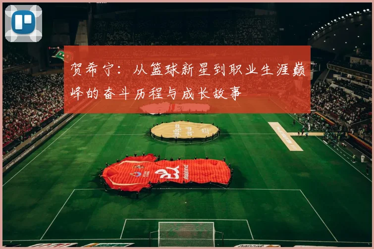 贺希宁：从篮球新星到职业生涯巅峰的奋斗历程与成长故事